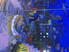 泰迪熊博物馆-成都泰迪熊博物馆