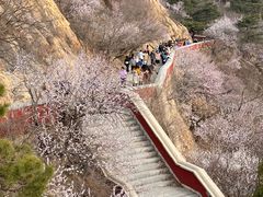 -天津盘山风景名胜区