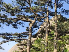 -黄山风景区