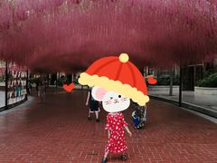 -郑州方特梦幻王国