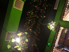 -川渝窈妹纸包鱼·齐齐哈尔烤肉