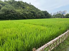 -贵阳市花溪国家城市湿地公园