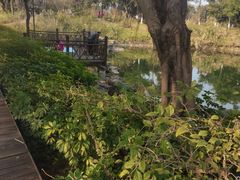 -大渡口区义渡公园