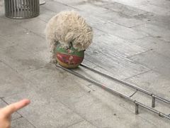 -南宁市凤岭儿童公园