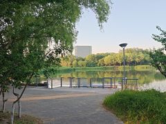 -大兴滨河森林公园