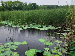 -同里国家湿地公园
