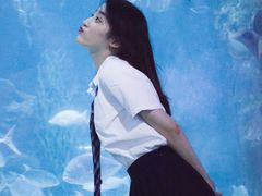 -南昌海洋公园