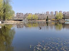 -前关湿地公园