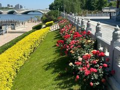-西海子公园