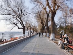 -长春市南湖公园