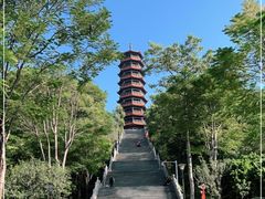 -红花山公园