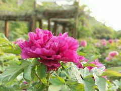 -幕燕滨江·长江观音景区