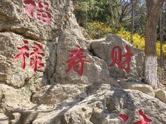 -石老人观光园