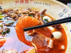 -芙蓉树下冒菜·麻辣烫(农院店)