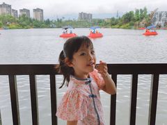 -枫香湖儿童公园