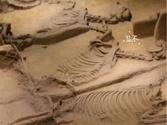 -洛阳周王城天子驾六博物馆