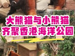 -香港海洋公园