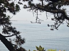 -青岛第一海水浴场