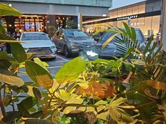 -农耕记·湖南土菜(halo广场店)