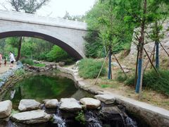 -白水寺森林公园