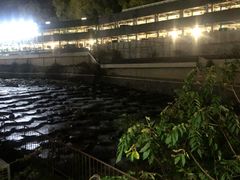 -箱根Pax吉野酒店