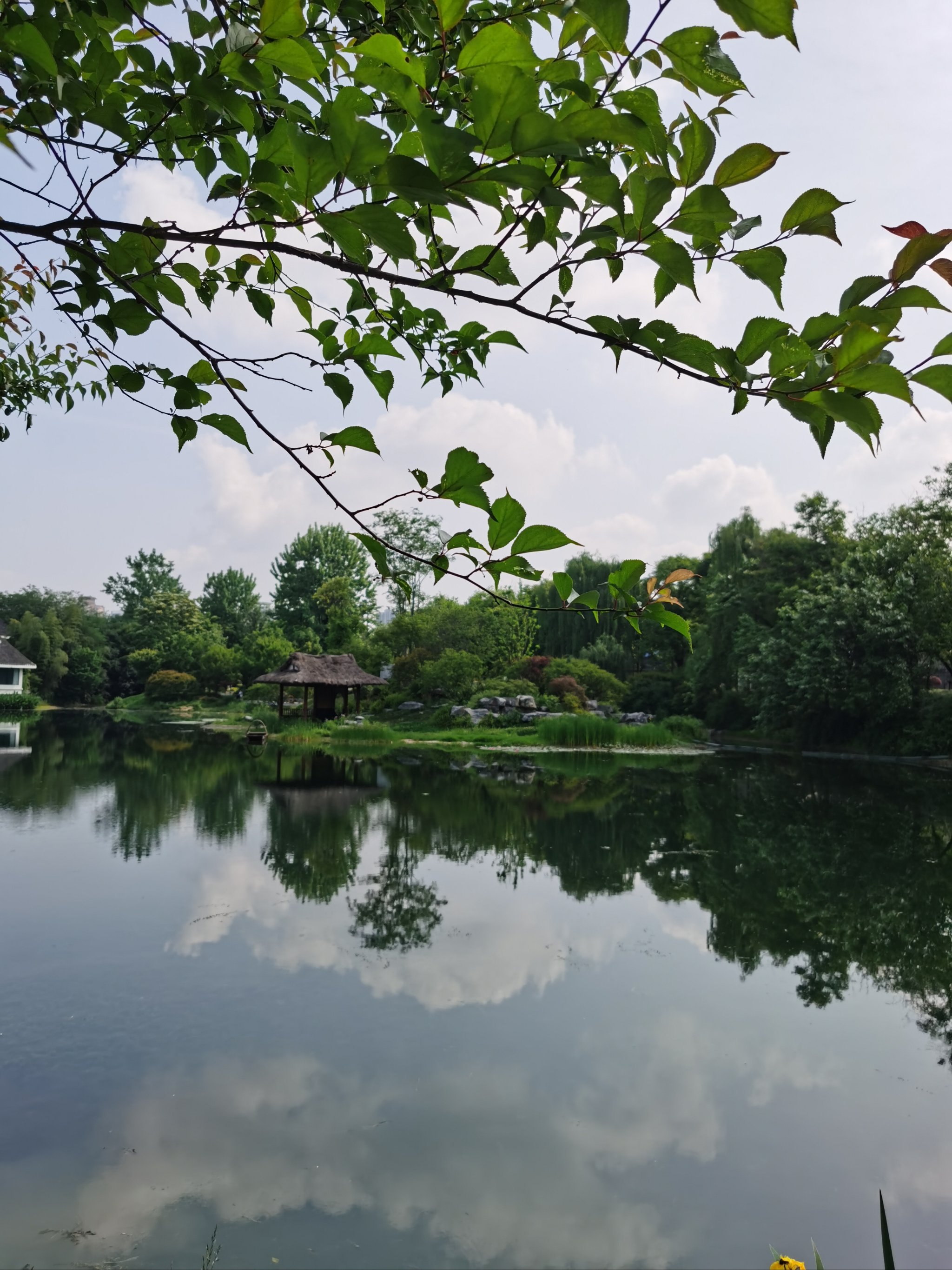 浣花溪公园沧浪湖图片