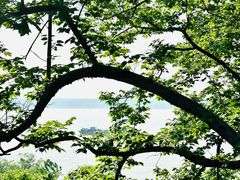 -幕燕滨江·燕子矶公园