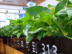 -313羊庄·羊肉火锅烧烤(李村店)