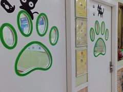 -瑞鹏宠物医院·夜间急症·心超·猫科(祖庙分店)