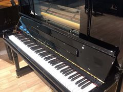 -柏斯音乐艺术中心·钢琴·吉他(世纪金源店)