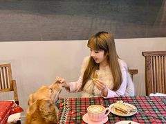 -南京宠物基地·宠物狗宠物猫售卖(南京店)