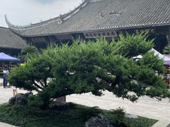 -新繁老號豌豆汤饭店·江湖菜(宝光寺店)