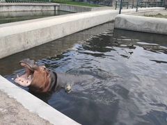 -哈尔滨北方森林动物园