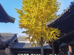 -锦溪古镇