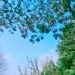 -中谷小南国花园酒店·宴会厅