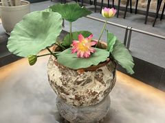 -单家老院·院子里的青岛菜(沙子口店)