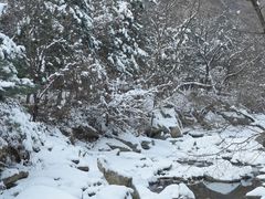 -少华山国家森林公园