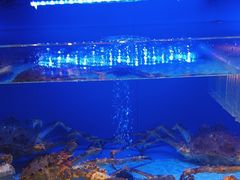 -阿伟海鲜楼·福建菜(延寿店)