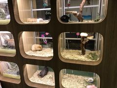 -藦茜花园宠物主题亲子互动体验馆(国顺东路店)