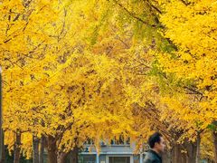 -北京理工大学(中关村校区)
