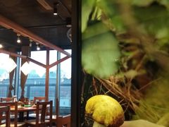 -云海肴·汽锅鸡·云南菜(天山百盛优客店)