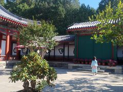 -宫事颐庭·老佛爷贵寿下午茶(颐和园店)