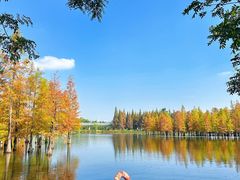 -白鹭湾湿地公园