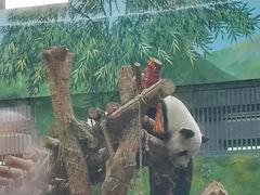 -黔灵山公园