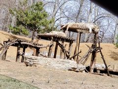 景点-北京野生动物园