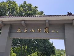 -太子山公园(园东路)
