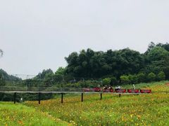 -保利石象湖景区