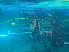 -拾叁唐Livehouse(佛山禅城店)