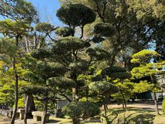 -水前寺成趣园