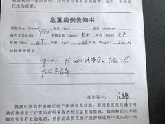 -康成宠物医院24H·CT·核磁共振